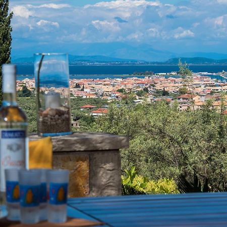 Aloe Villa Apolpaina エクステリア 写真