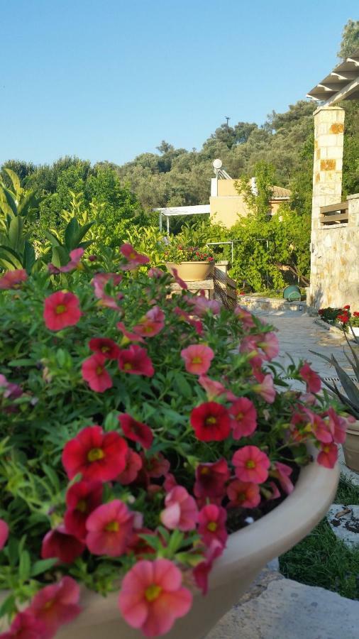 Aloe Villa Apolpaina エクステリア 写真